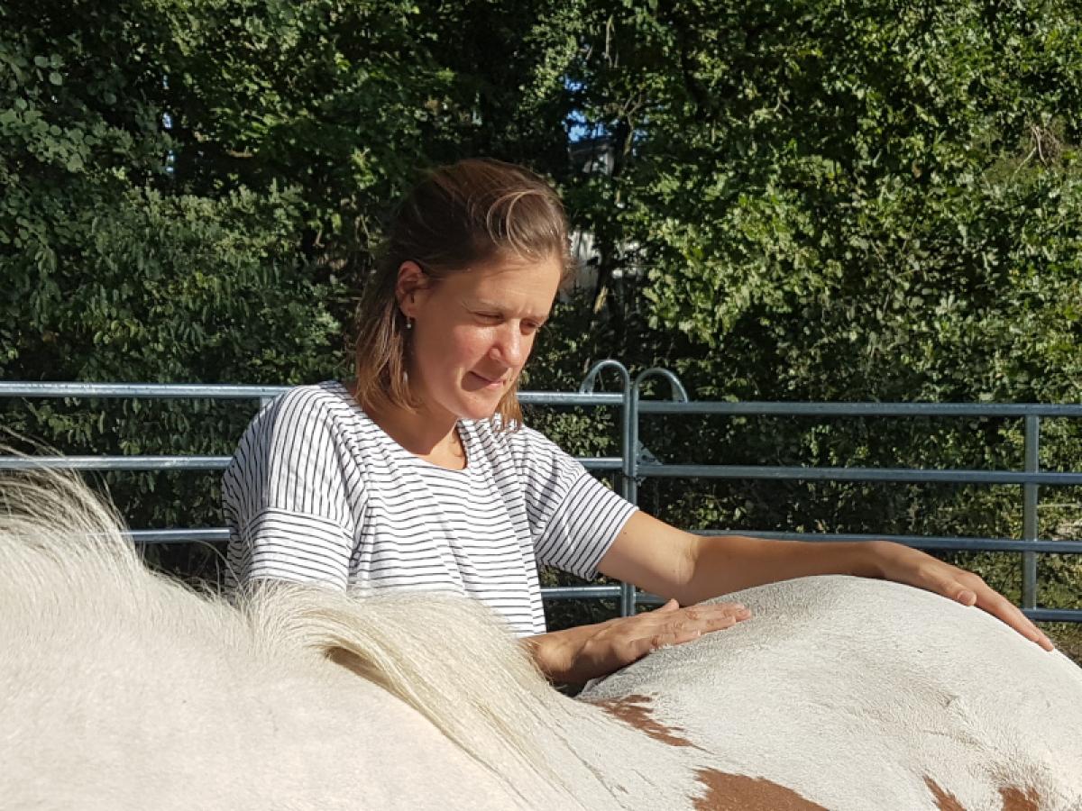 Manuelle Therapie - BB-Tiertherapie