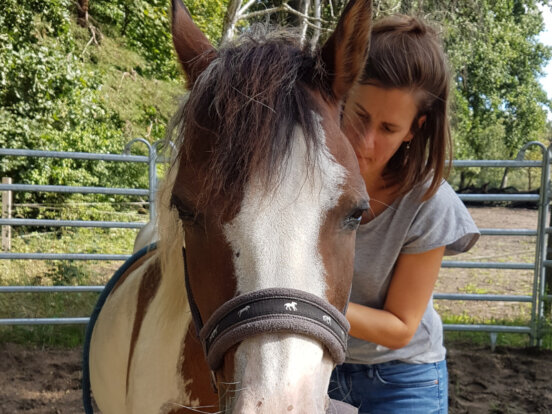 Theresa Leuschner - Pferd - BB-Tiertherapie