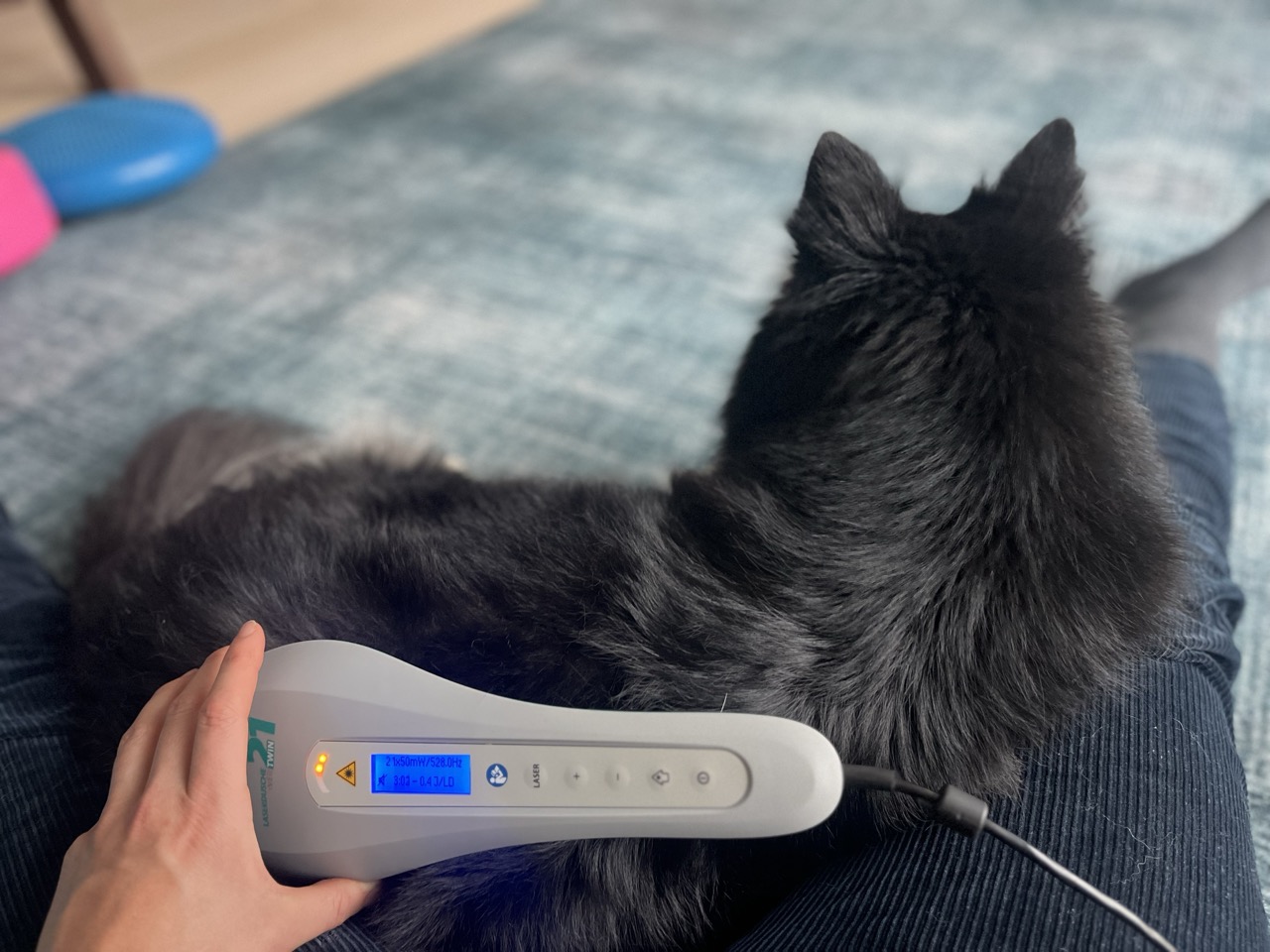Diese gebündelte Lichtenergie wirkt je nach Frequenz auf bestimmte Strukturen des Körpers, wie Muskulatur, Gelenke, Bänder und Sehnen, die sie aktiviert, stimuliert sowie regeneriert. Diese gebündelte Lichtenergie wirkt je nach Frequenz auf bestimmte Strukturen des Körpers, wie Muskulatur, Gelenke, Bänder und Sehnen, die sie aktiviert, stimuliert sowie regeneriert.