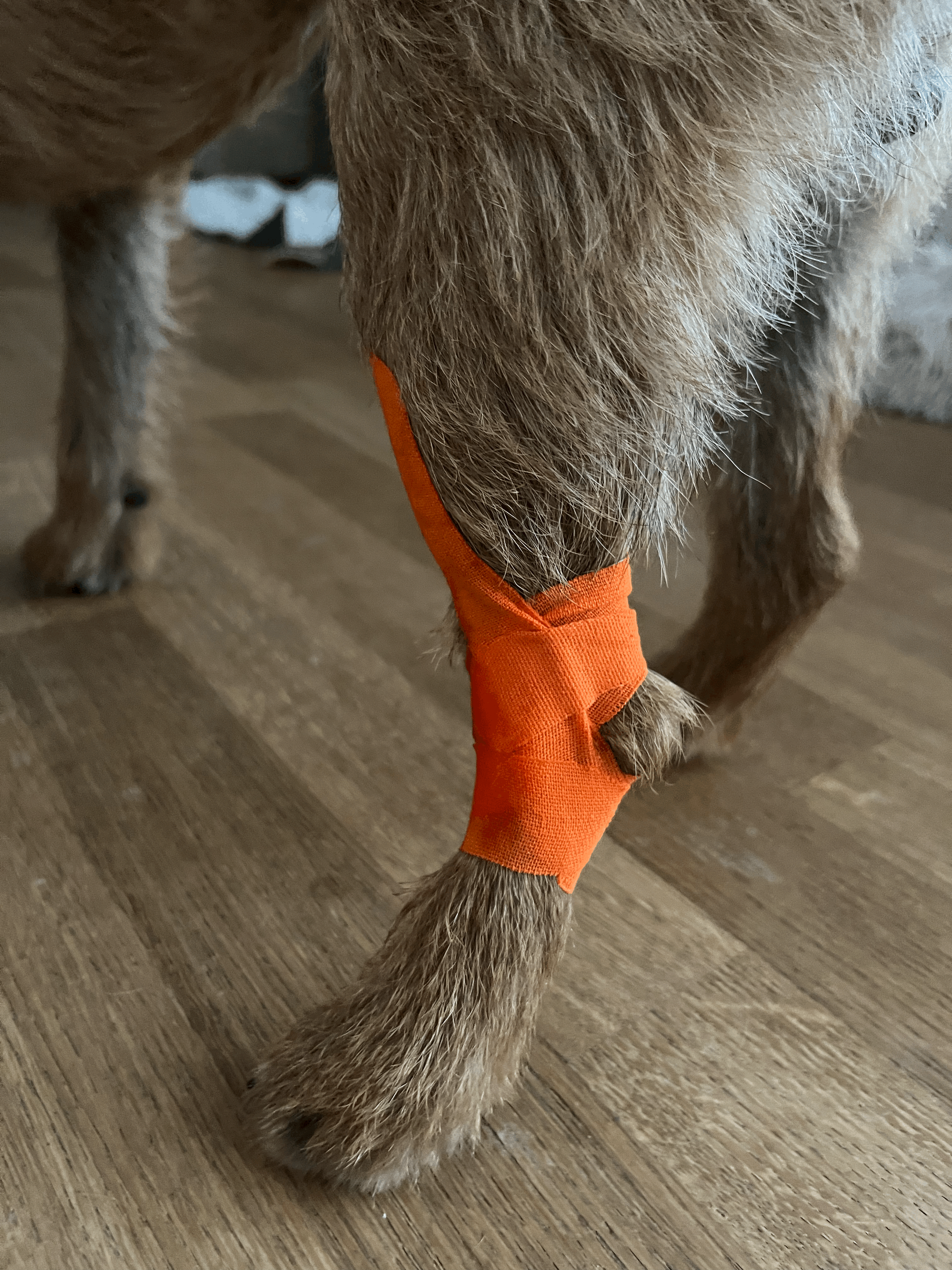 Die elastischen Klebebänder wirken über eine Behandlungssitzung hinaus konstant auf das darunter liegende Gewebe, indem sie es stabilisieren, massieren sowie für Schmerzreduktion sorgen.