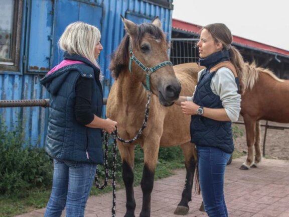 Beratung - BB-Tiertherapie