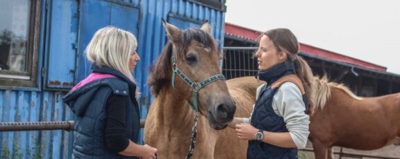 Kontakt - BB-Tiertherapie