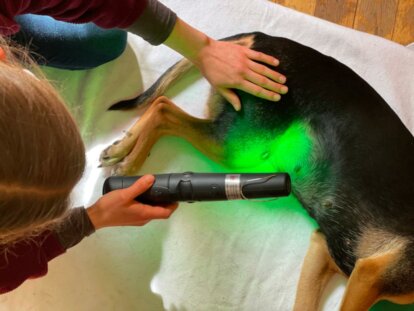 Eine besonders sanfte Form der Lichttherapie zur Behandlung  von Entzündungen und Durchblutungsstörungen der Haut, Narben, Muskulatur und Knochenhaut.