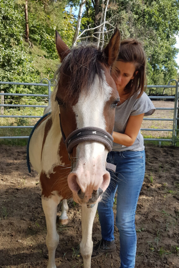 Theresa Leuschner - Pferd - BB-Tiertherapie