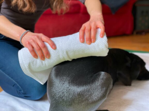 Thermotherapie - BB-Tiertherapie