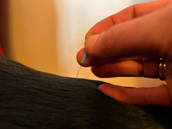 Hilfe zur Selbsthilfe verschaffen die feinen Nadeln aus der traditionell chinesische Medizin (TCM), die dem Körper aufzeigen wo seine Energie fließen und seine eigenen Kräfte wirken sollen.