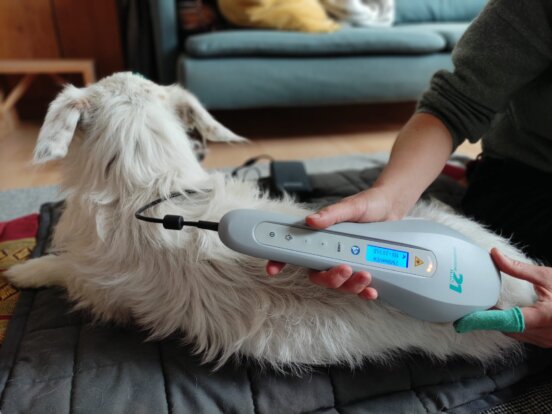 5f272527-499a-4296-b57b-91fdba2ff283