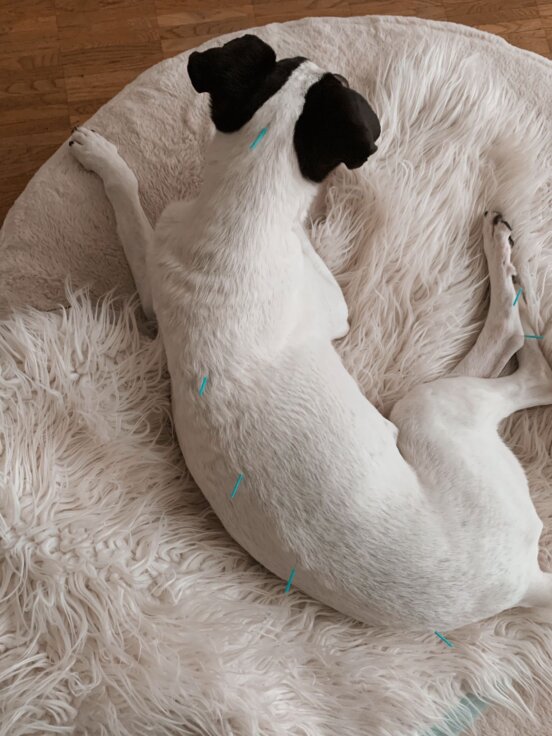 ca608162-6032-4611-85f5-4dba0af29bca