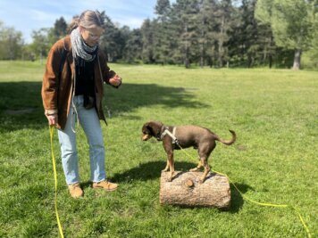 Für gezielten Muskelaufbau führen wir spezielle Übungen mit und ohne Geräten durch, um den Körper zu stärken und zu stabilisieren.